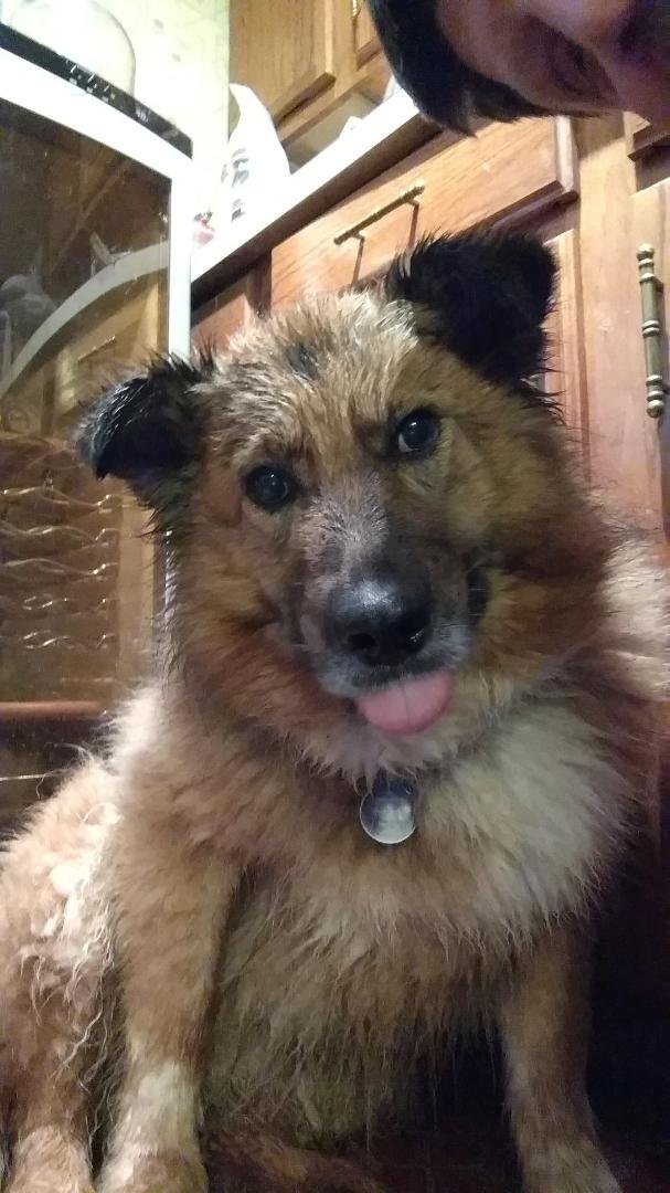 Ahhh... another wet Summer