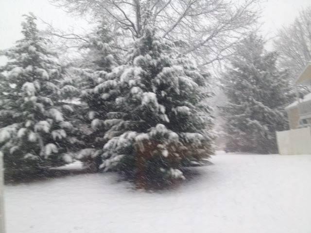Snow from last year, where art thou snow?????????