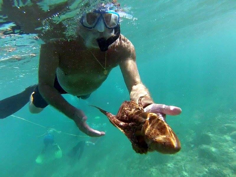 Tom and the octopus