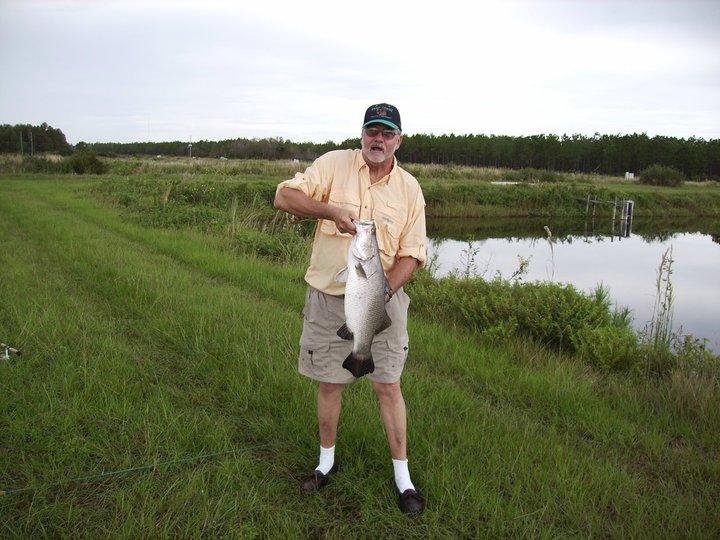 Barramundi about 12 lbs