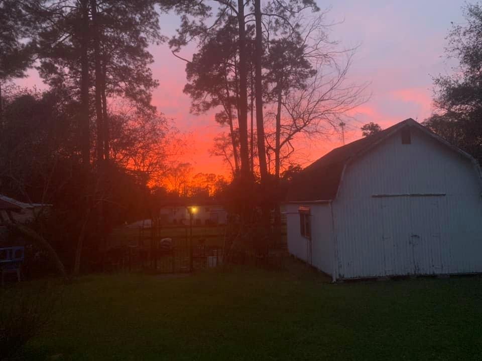 Brenda Spicer's album, Mobile Uploads