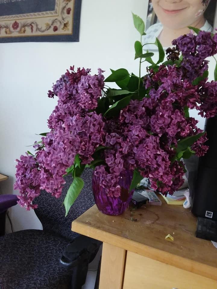 Barbara Reid's album, Mobile Uploads