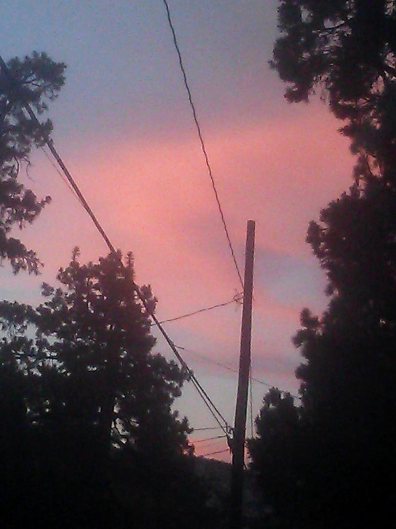 Pam Blake's album, Mobile Uploads