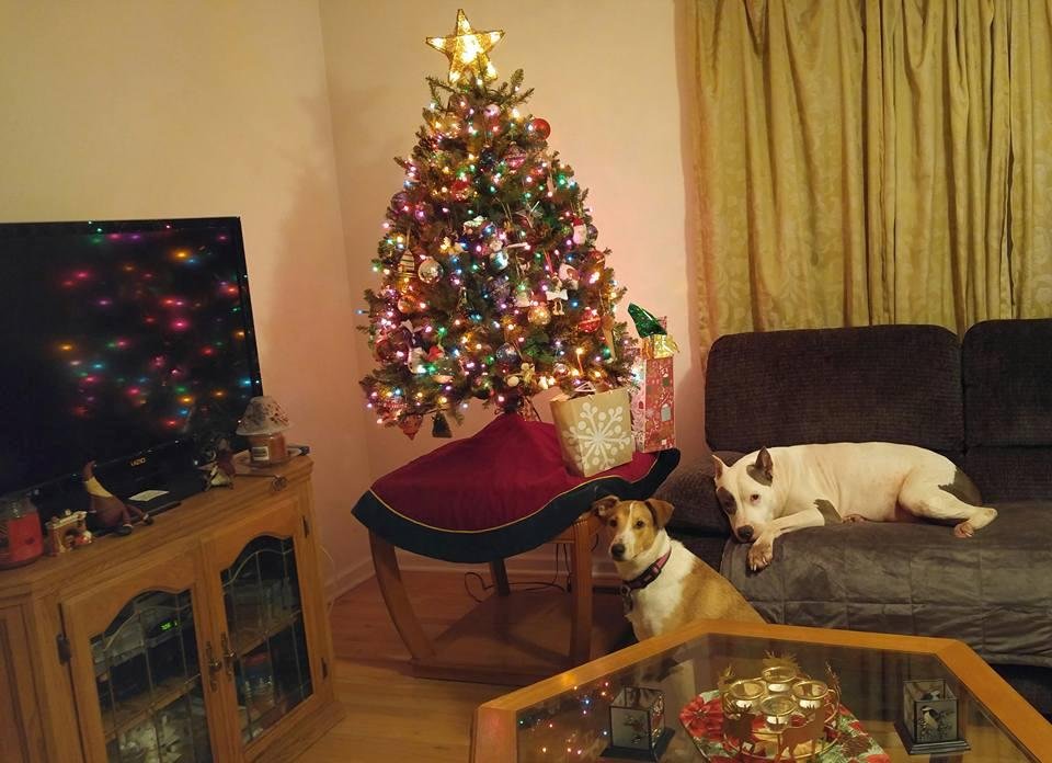 Waiting for Santa