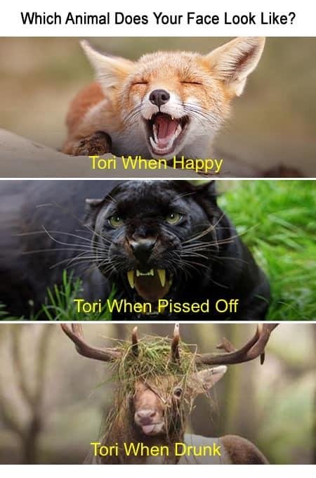 🤣🤣🤣🤣🤣