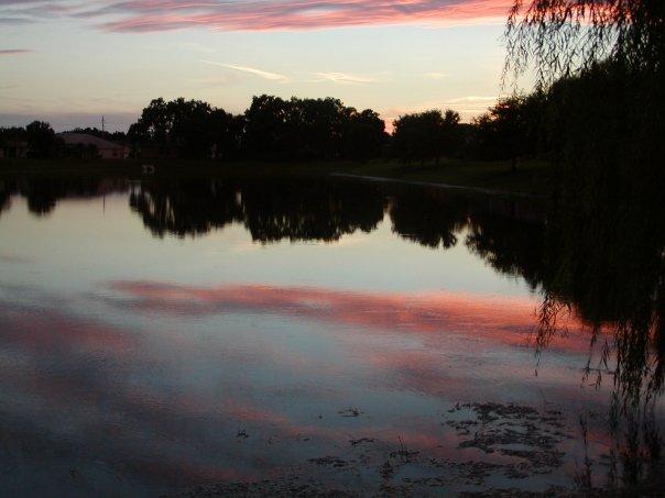 larry abbott's album, Sunsets in Florida