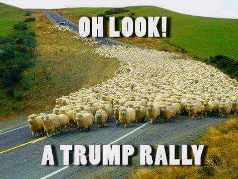 Trump’s Supporters