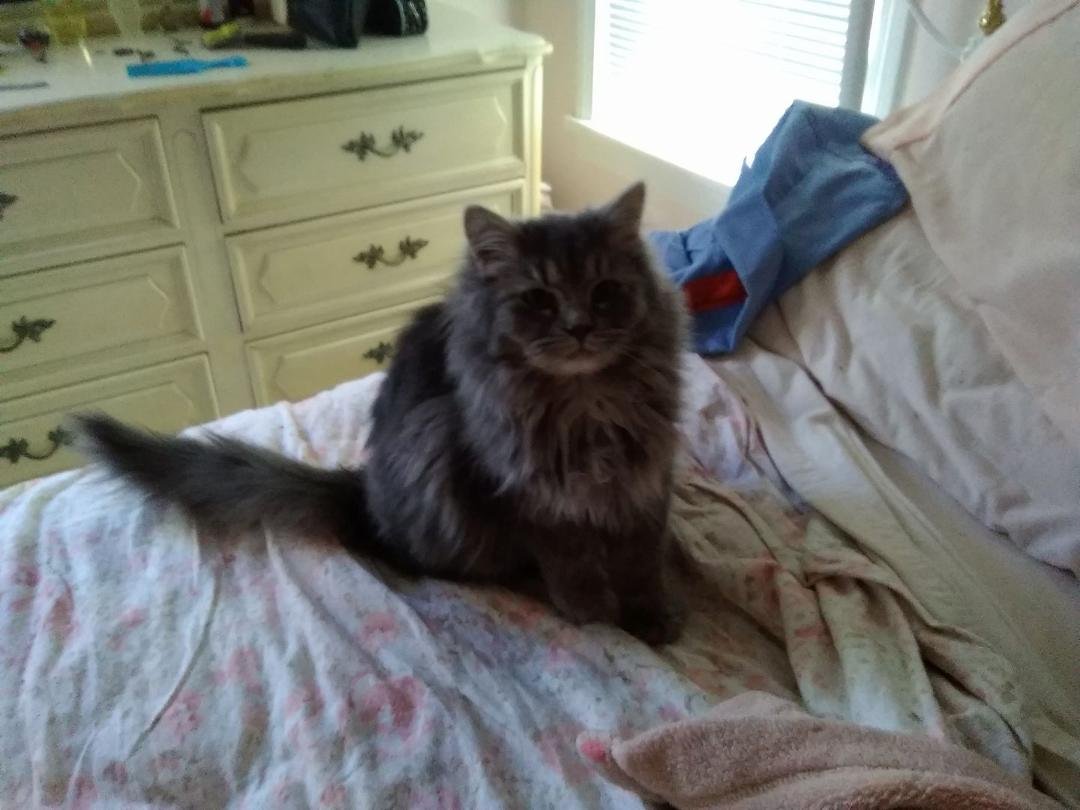 Needs a home.  Anyone interested?