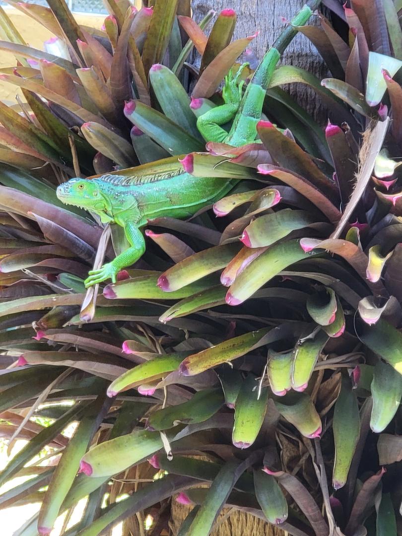...so I was doing some yardwork...