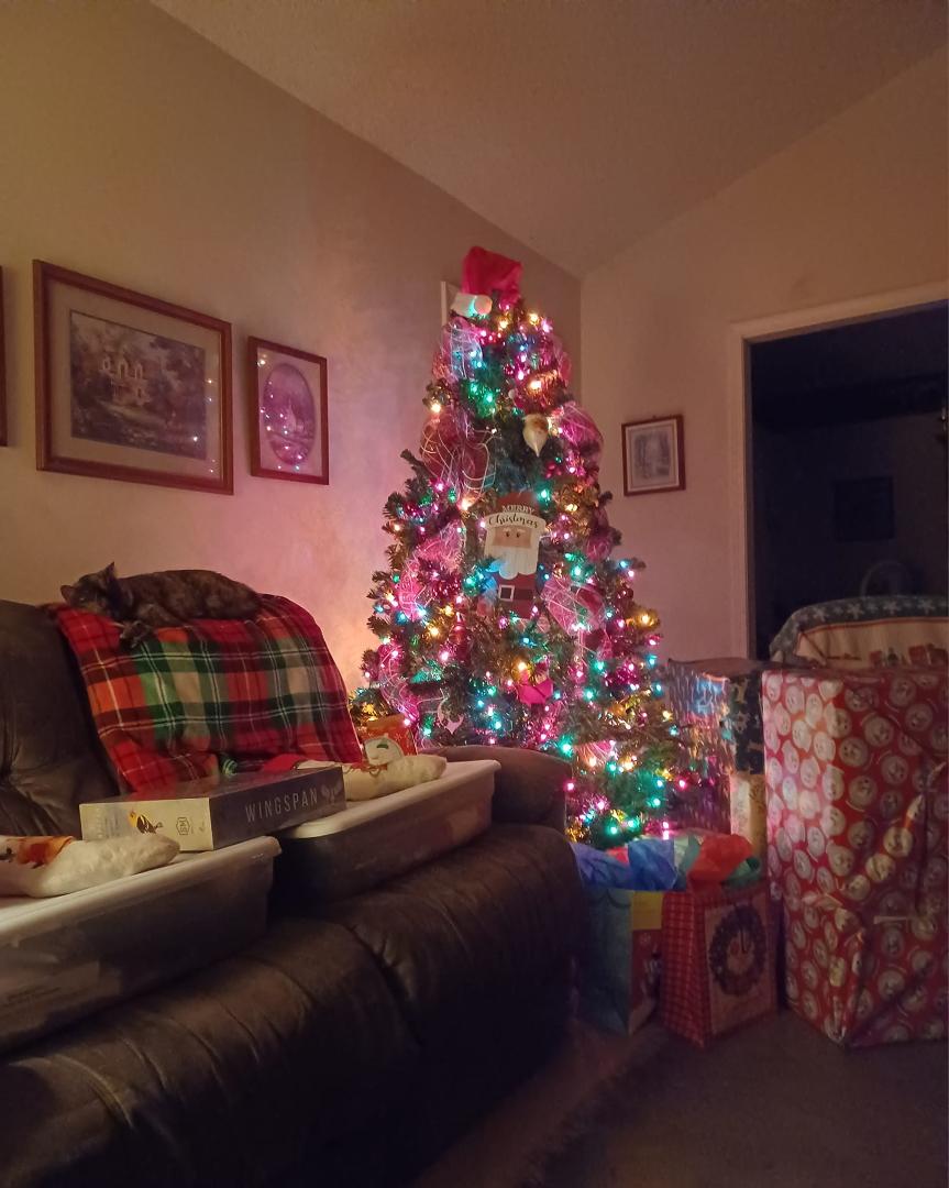 This Santa is done and has hung up the toboggan on the tree - note that the supervisor is still catnapping and has ignored all the goings-on while the other two fur-kids have been FULLY involved... Merry Christmas!