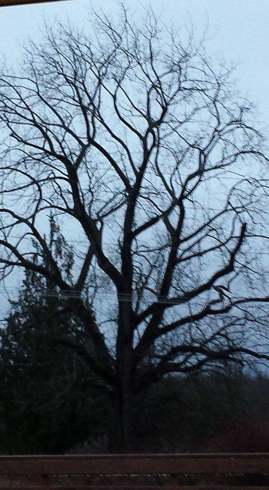 Love mother nature