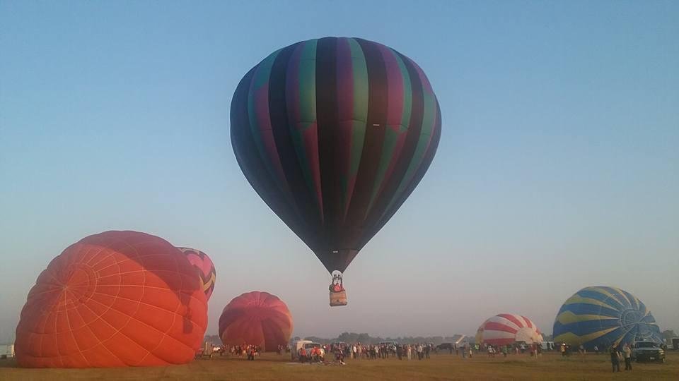 Michael Reed's album, Mobile Uploads