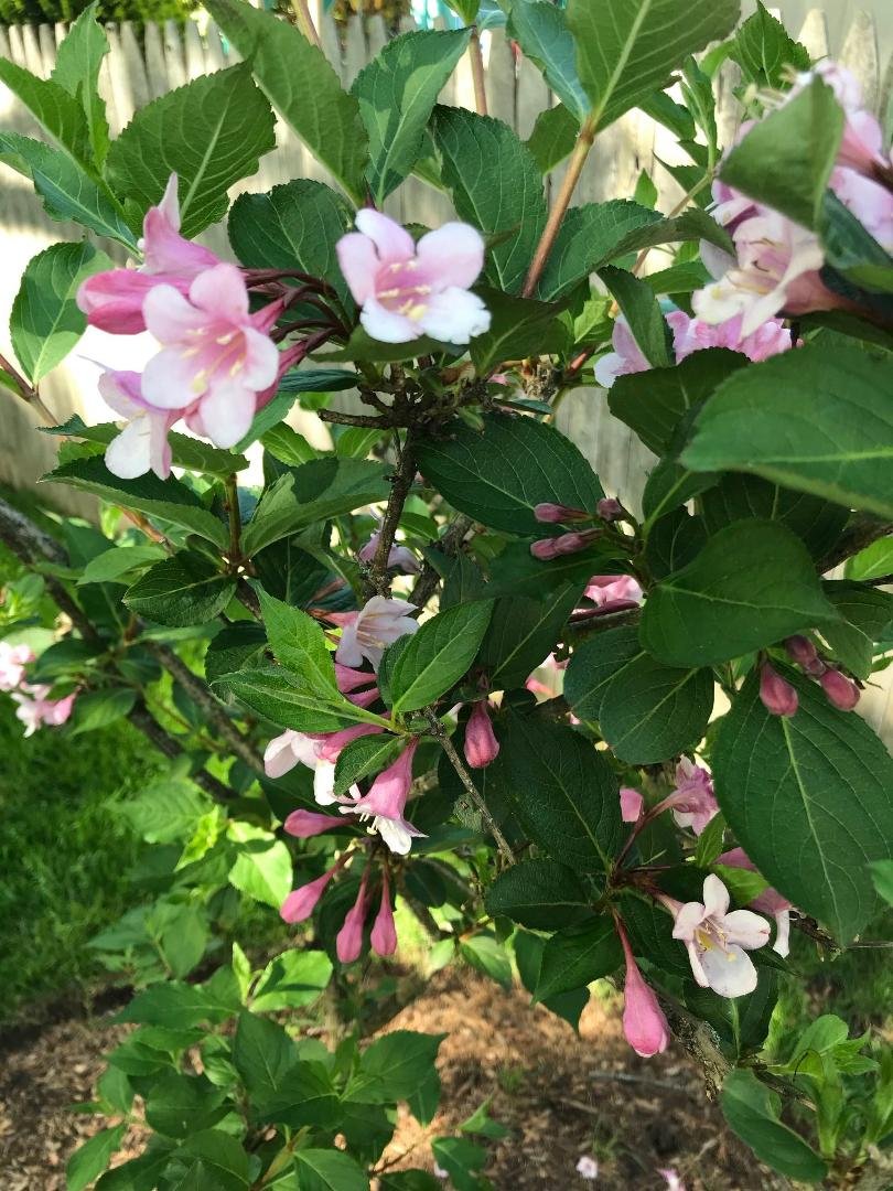 Edward Bailey's album, Timeline Photos