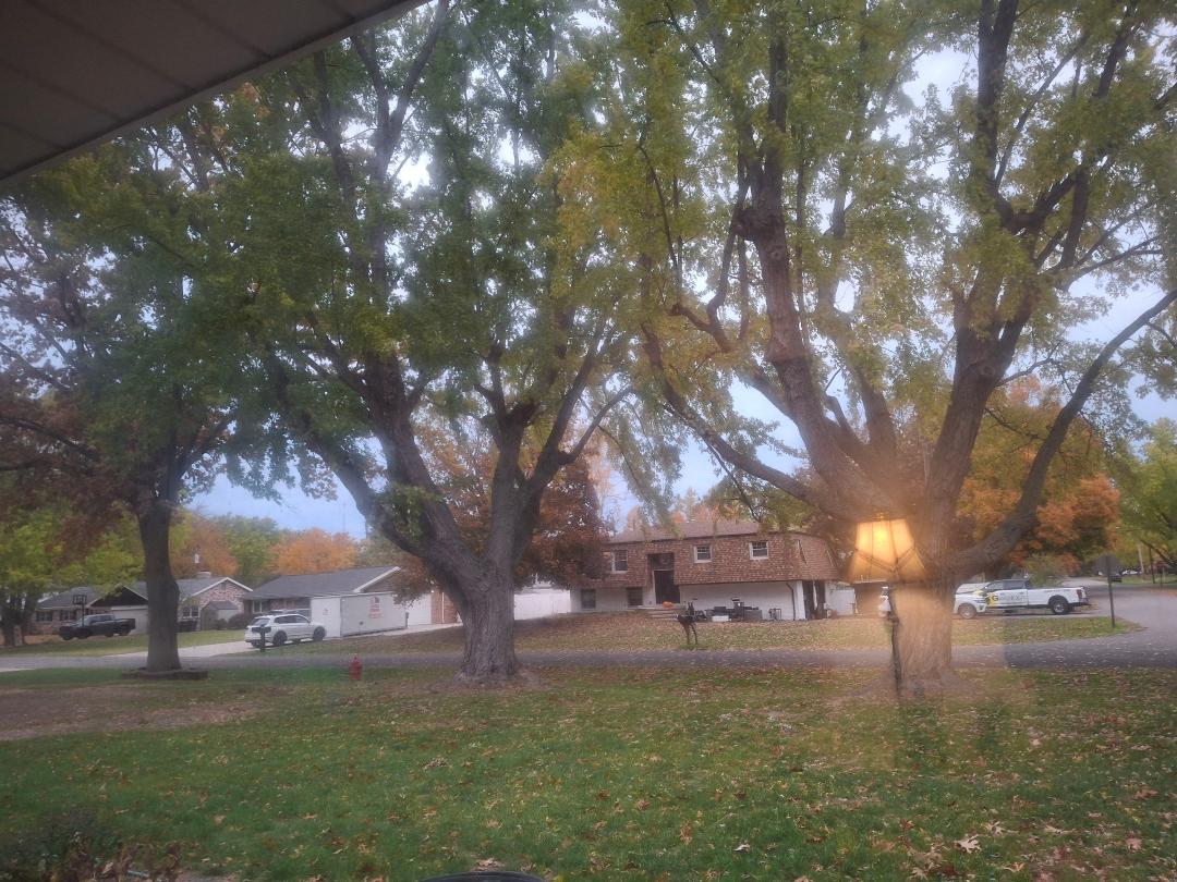 Ellen DeVries Diener's album, Timeline photos
