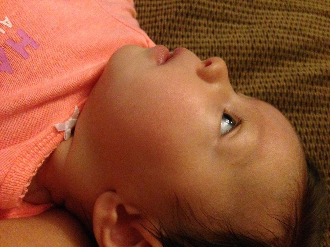 Patty Bronn's album, iOS Photos