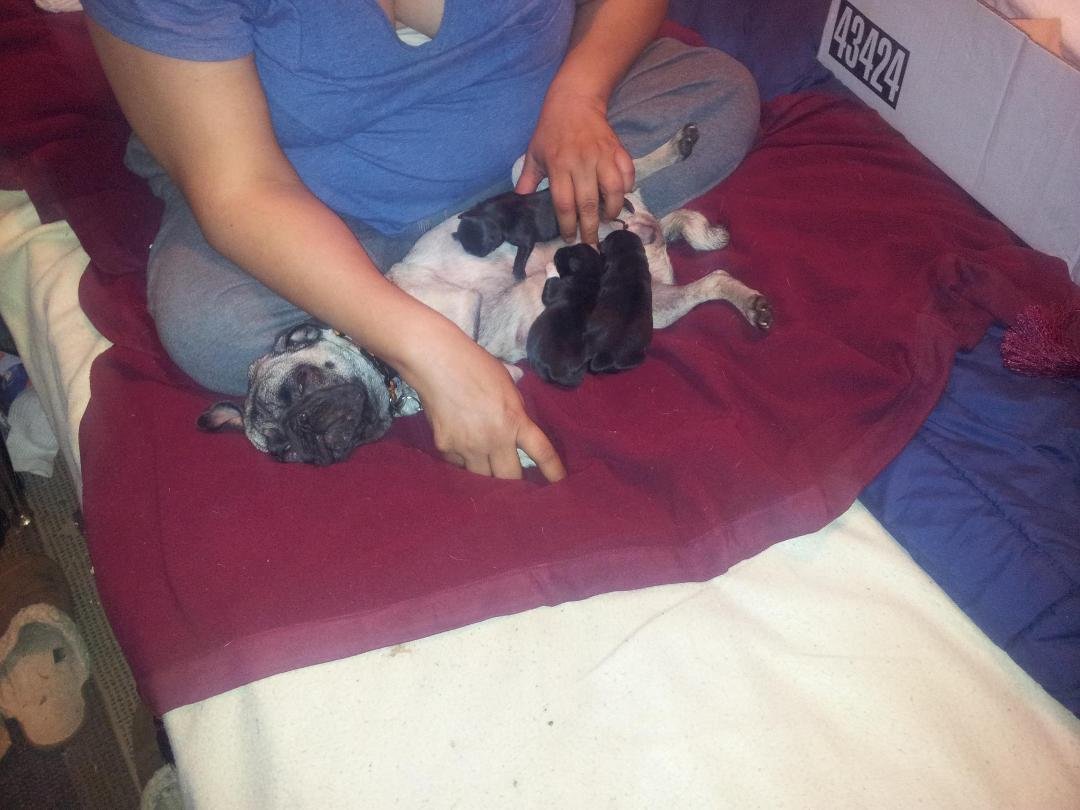 This is 2 a.m. feeding....atleast shes not fighting...lol