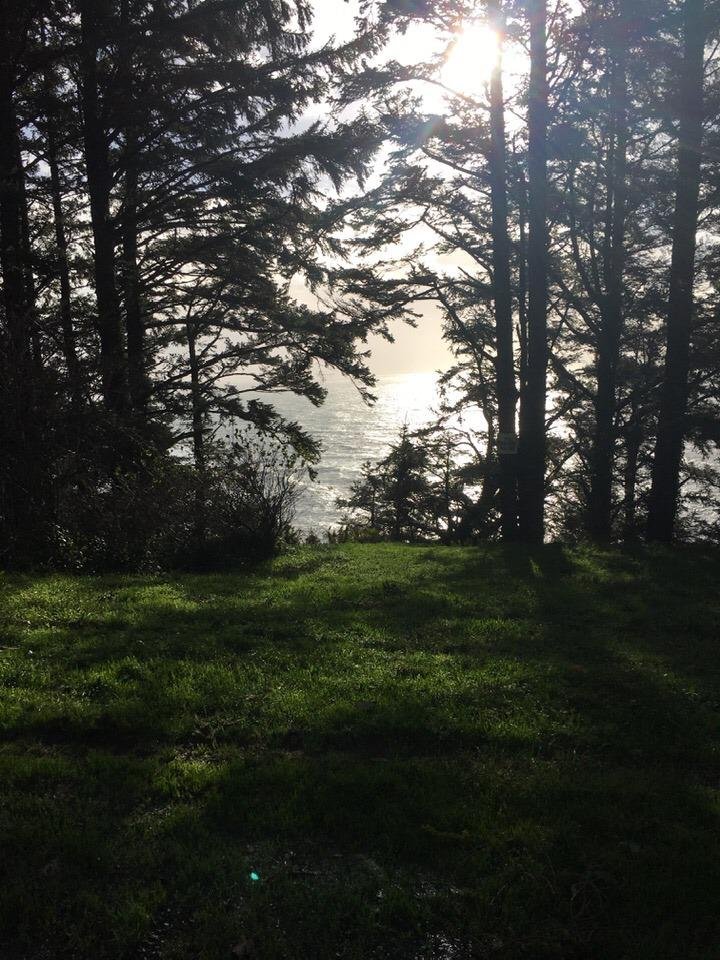 Colleen Wilson's album, Timeline Photos