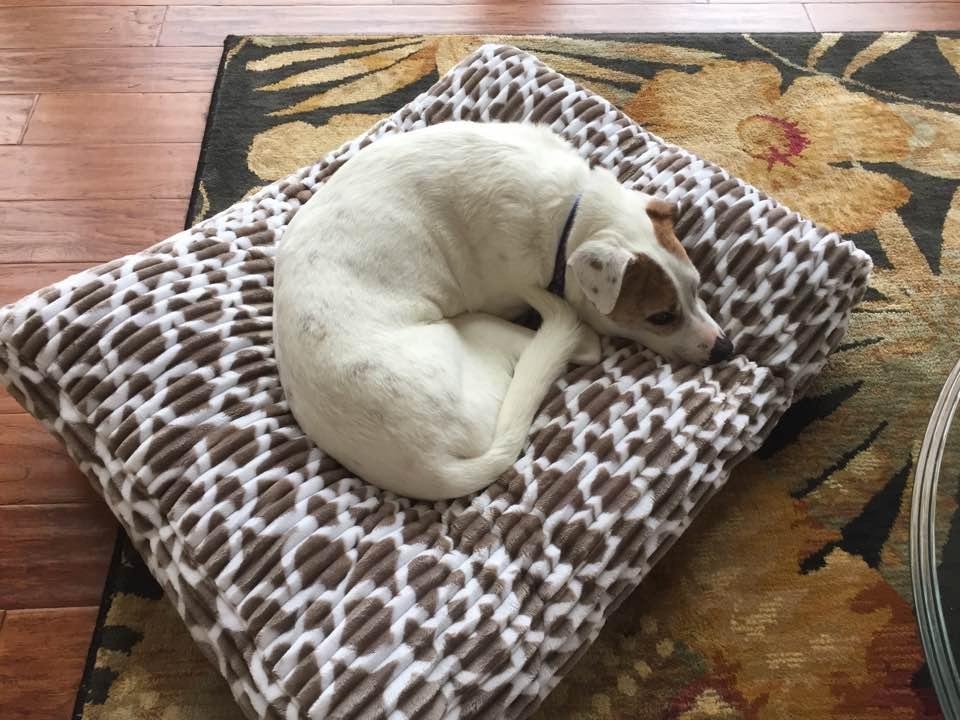 Cold day, warm bed.......