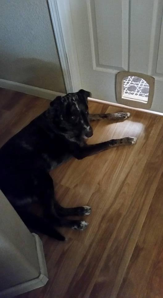 I heard her shouting at the door