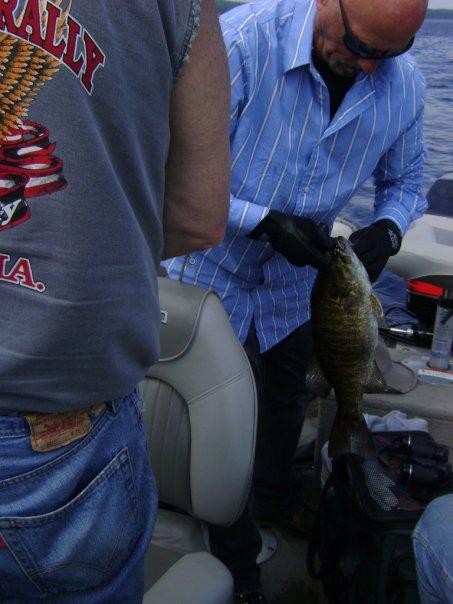 18&1/2" Small Mouthed Bass