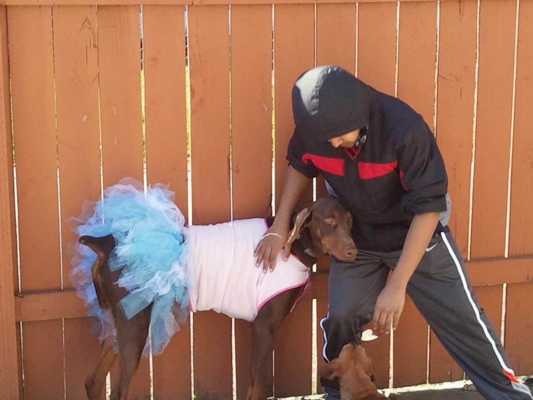 My mean Son, being mean to my dog