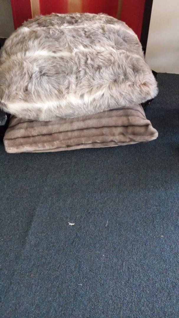 Good day these two floor pillows was made handmade that's creating this or mine now it's for sale this Friday morning so come to Marion Alabama and find some nice things