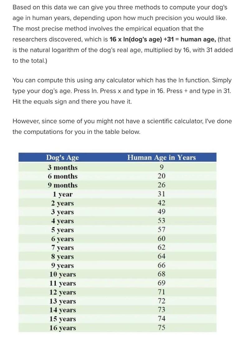 Dog's age translated to human years: