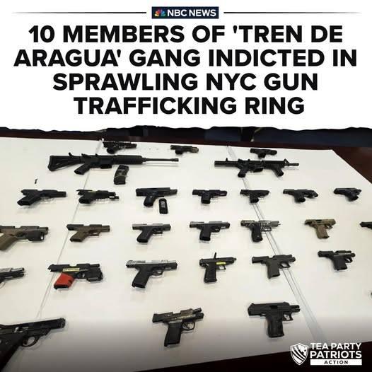 For those not wanting these illegals deported....