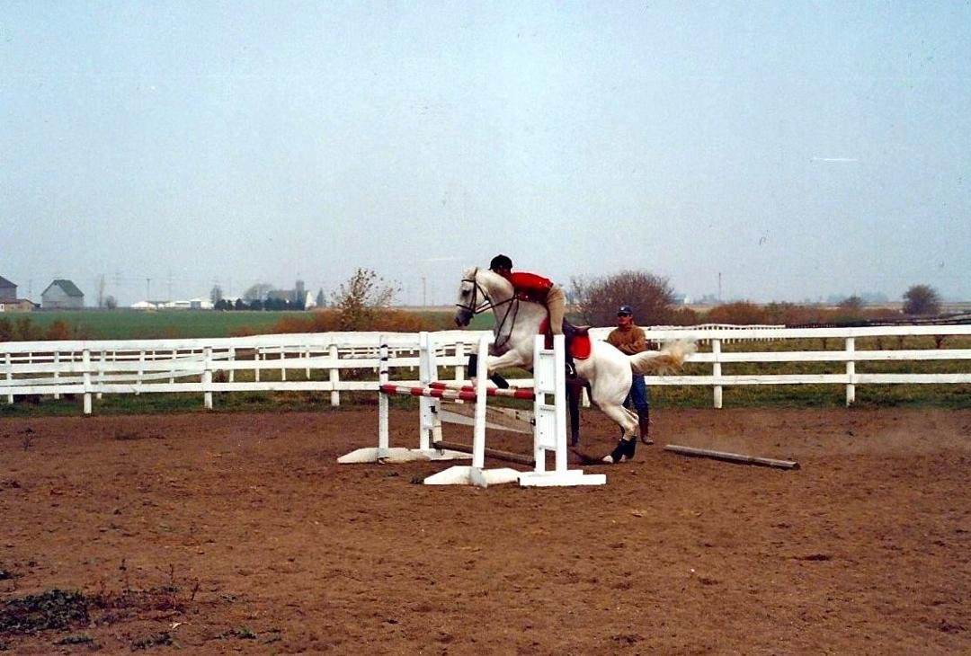 Terelle w/ Leapzig