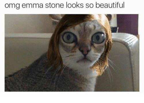 Ok i like her but this is funny