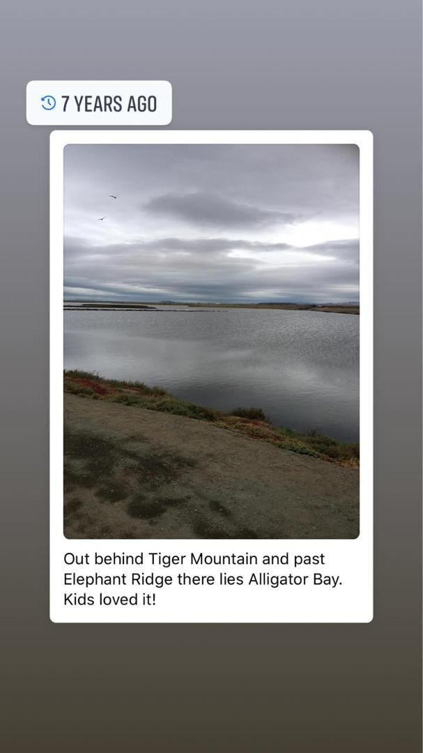 David Paul's album, Mobile Uploads