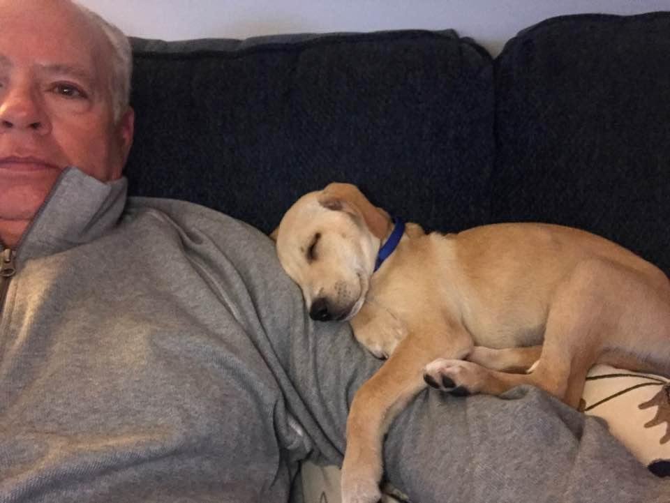 New girl in my life. Sasha is resting after our morning walk. A real sweetheart!