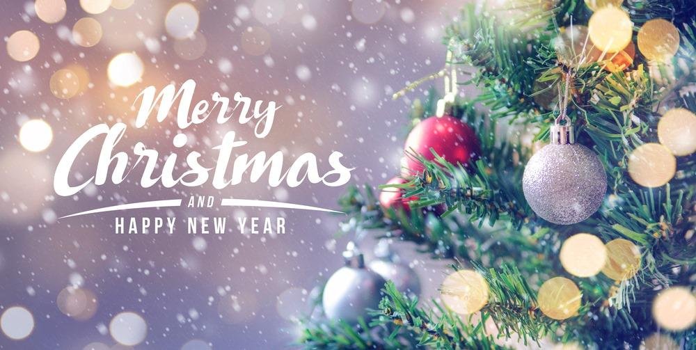 Wade and I wish all of our friends and family a wonderful holiday season and hope that 2020 is a very good year for all of you. 2019 was an exciting year, but my mom is doing much, much better. She is still living in her ow