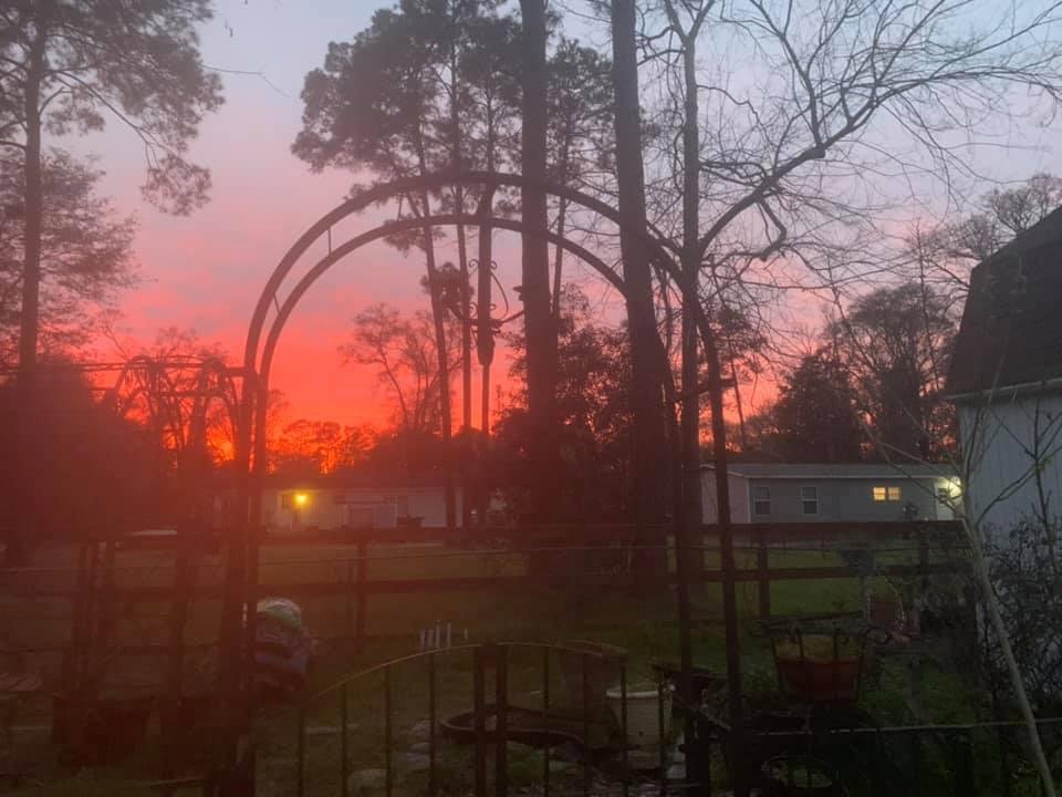 Brenda Spicer's album, Mobile Uploads