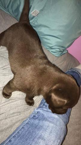 The new addition to the household and she is queen.