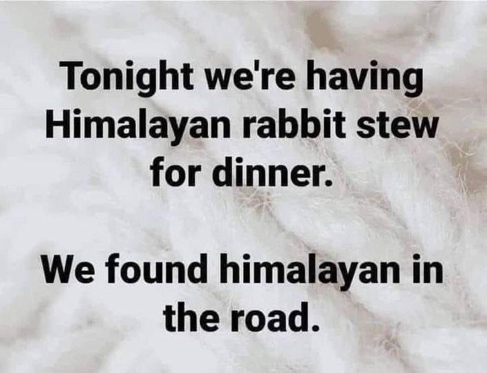 Randy Steinman's album, Timeline photos