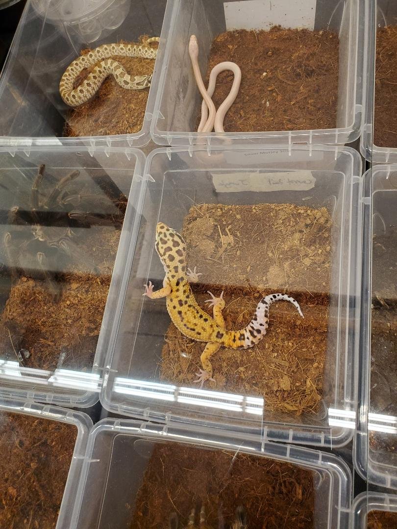 Beverly Doyle's album, Timeline photos