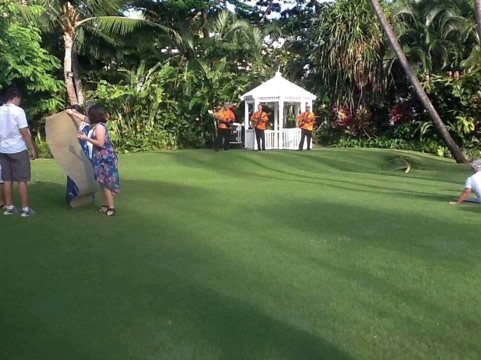 Hula dancing and Palm Tree climbing.  Fr some reason, the man at the top of the Palm refused to jump from tree to tree!