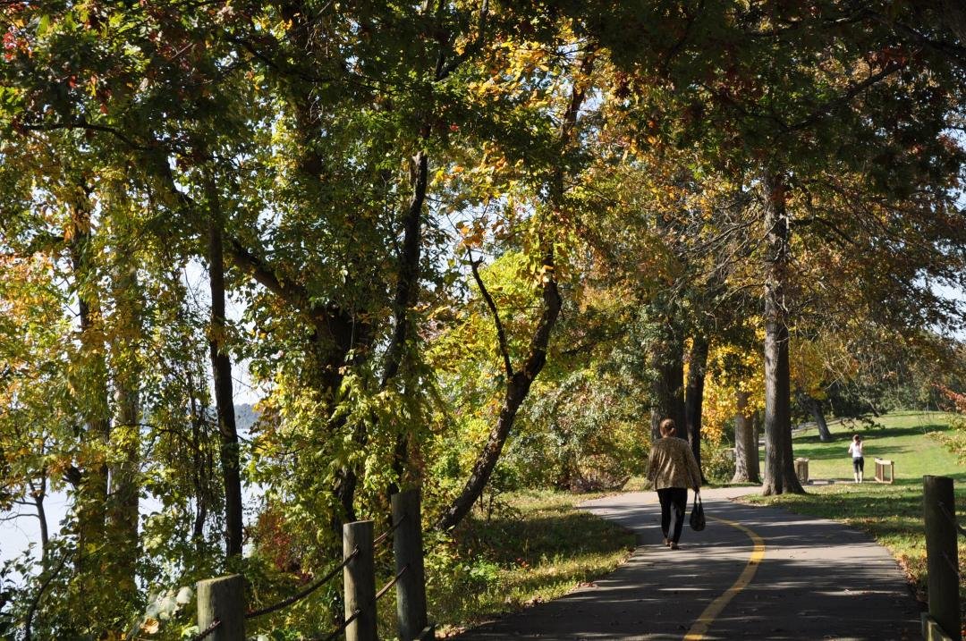 Fall is here in Washington. Here are some pictures taken 10/17/2011 on a walking/bike path bordering the Potomac River north of Mt. Vernon.