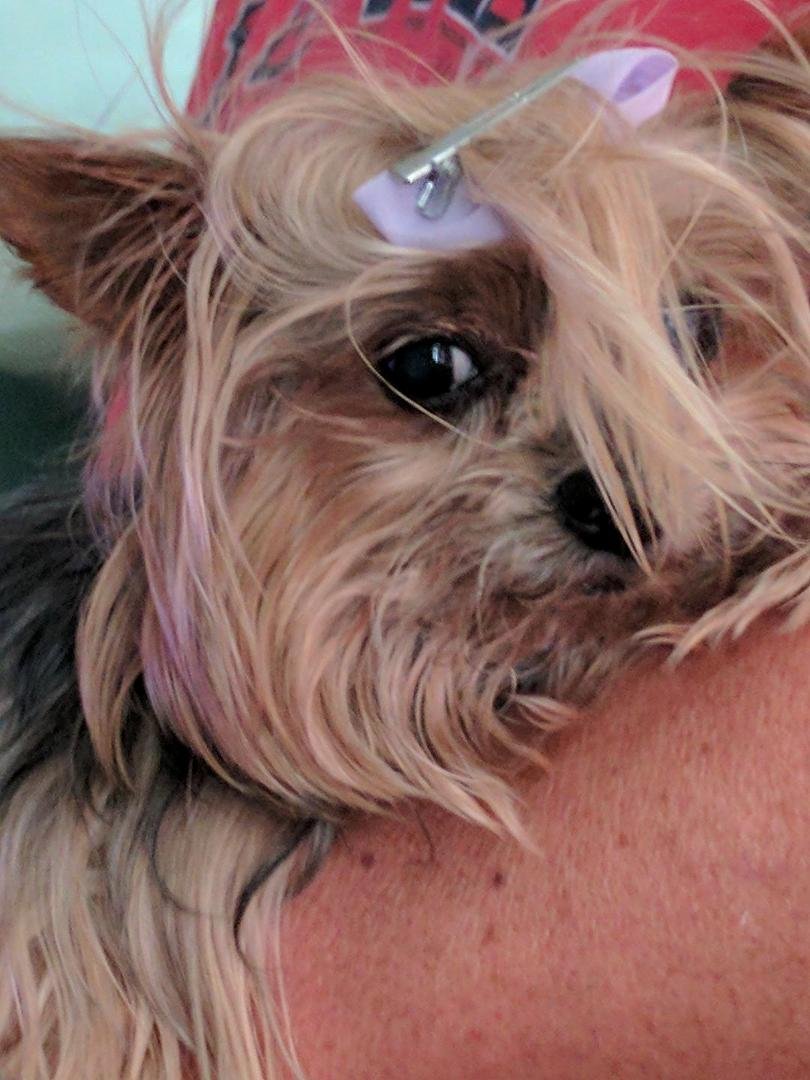I am having a bad hair day!