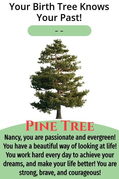 Nancy Arnold's album, Timeline Photos