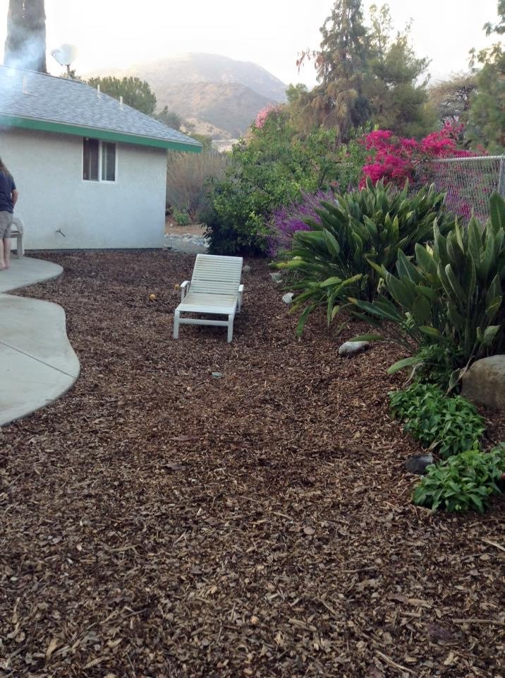 George finished the back yard today