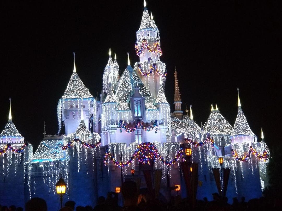 Sleeping beauty castle at night