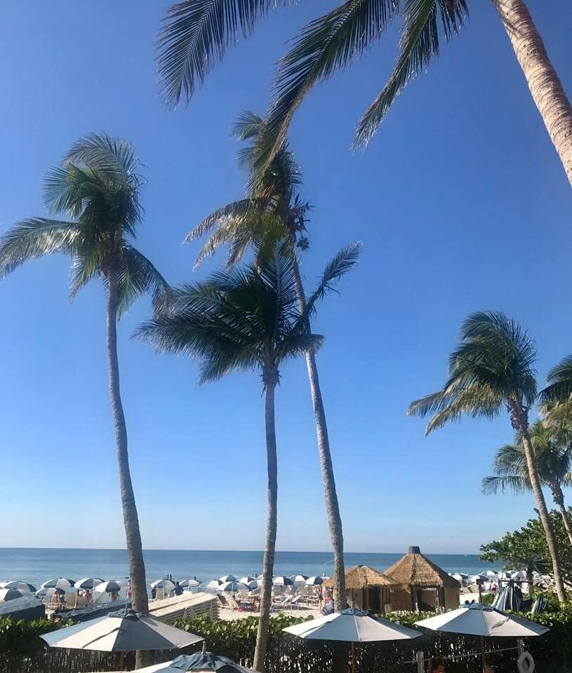 Enjoyed lunch at Baleen at LaPlaya Beach with family. It is fun to occasionally act like a tourist.