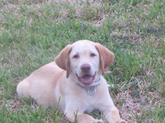 Jim Greig's album, Timeline Photos