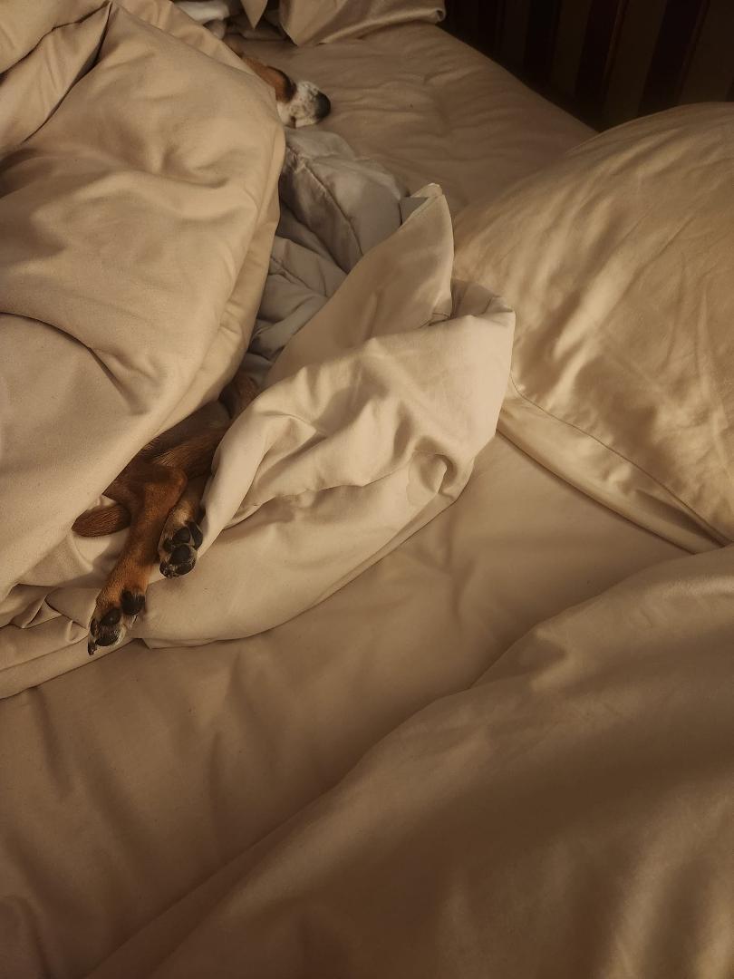 Staying warm is a very convoluted process