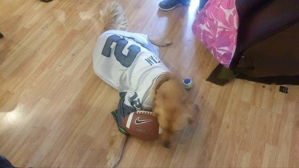 Jake is still a Seahawks fan! Seahawks Baby.