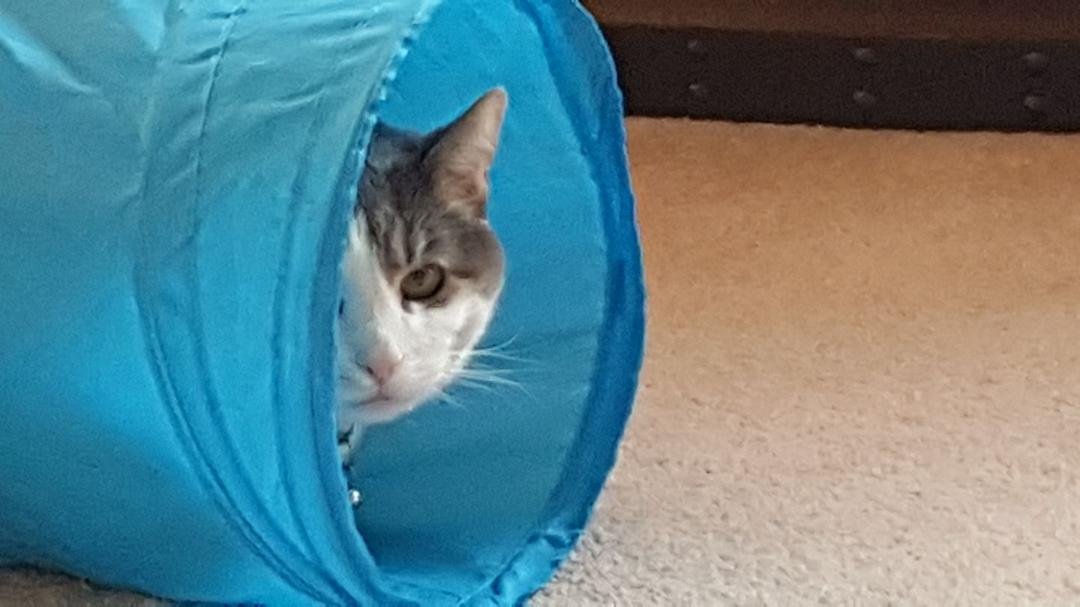 Reese hiding...