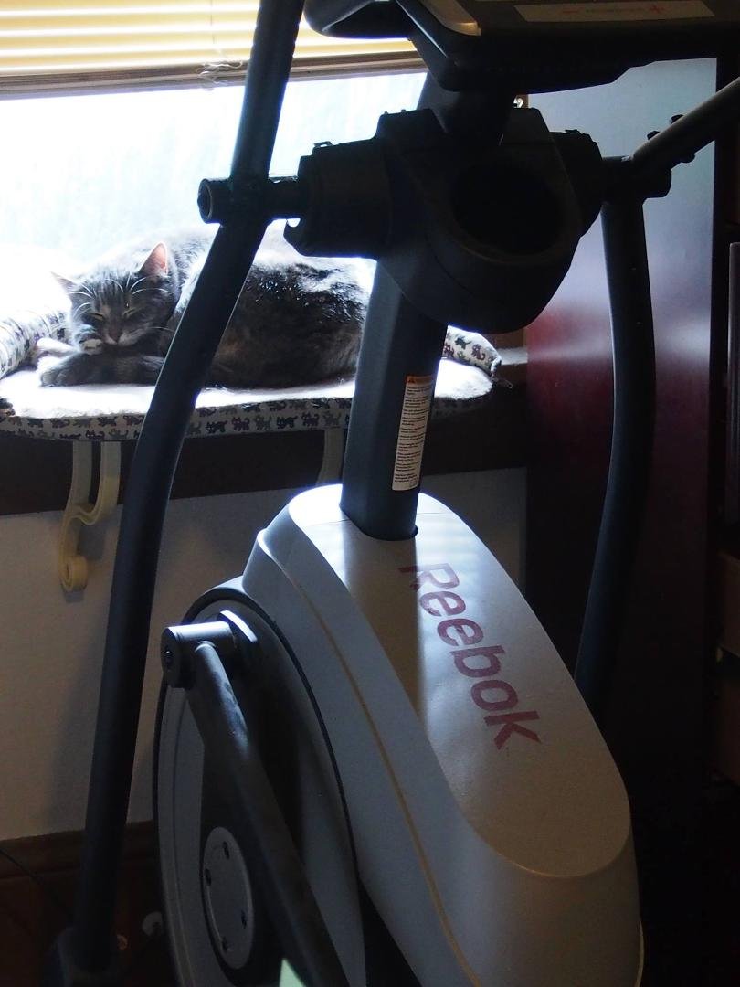 Cat's been workin' out for the last hour and now she's really tired... Good Greyarms!!