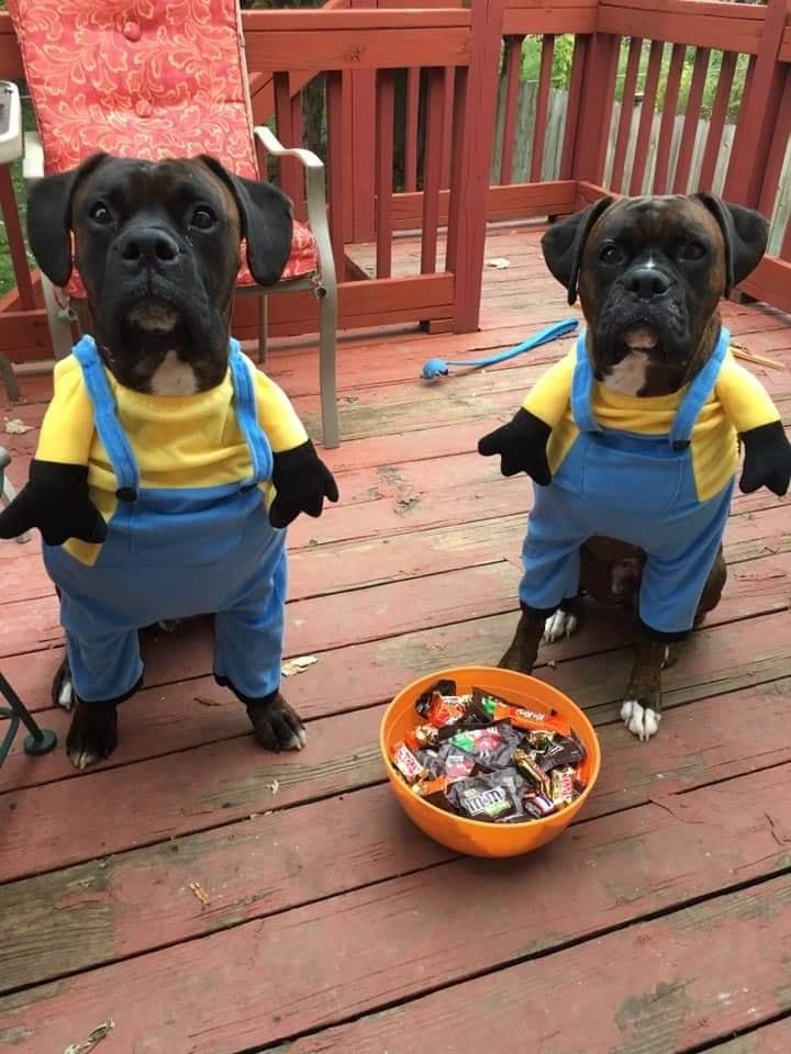 Gary Hall's album, Timeline Photos